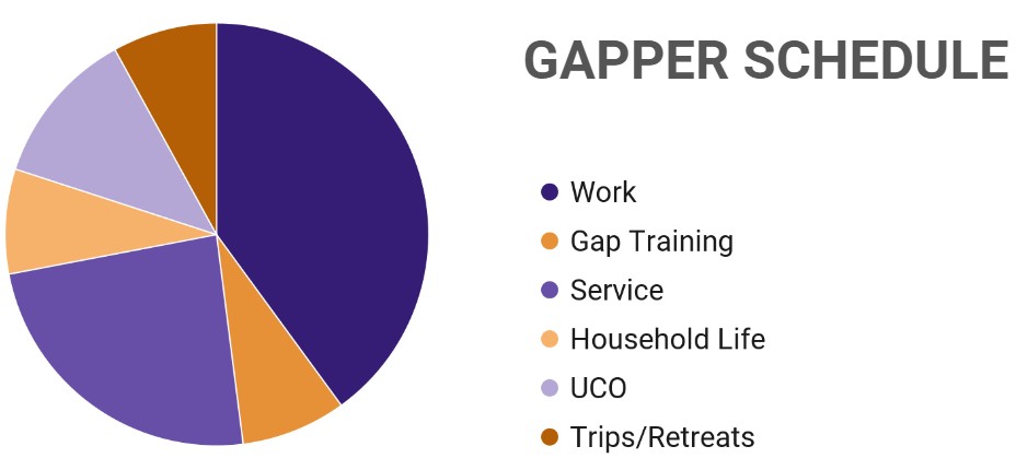 Pie chart that shows rough breakdown of time spent during GAP year