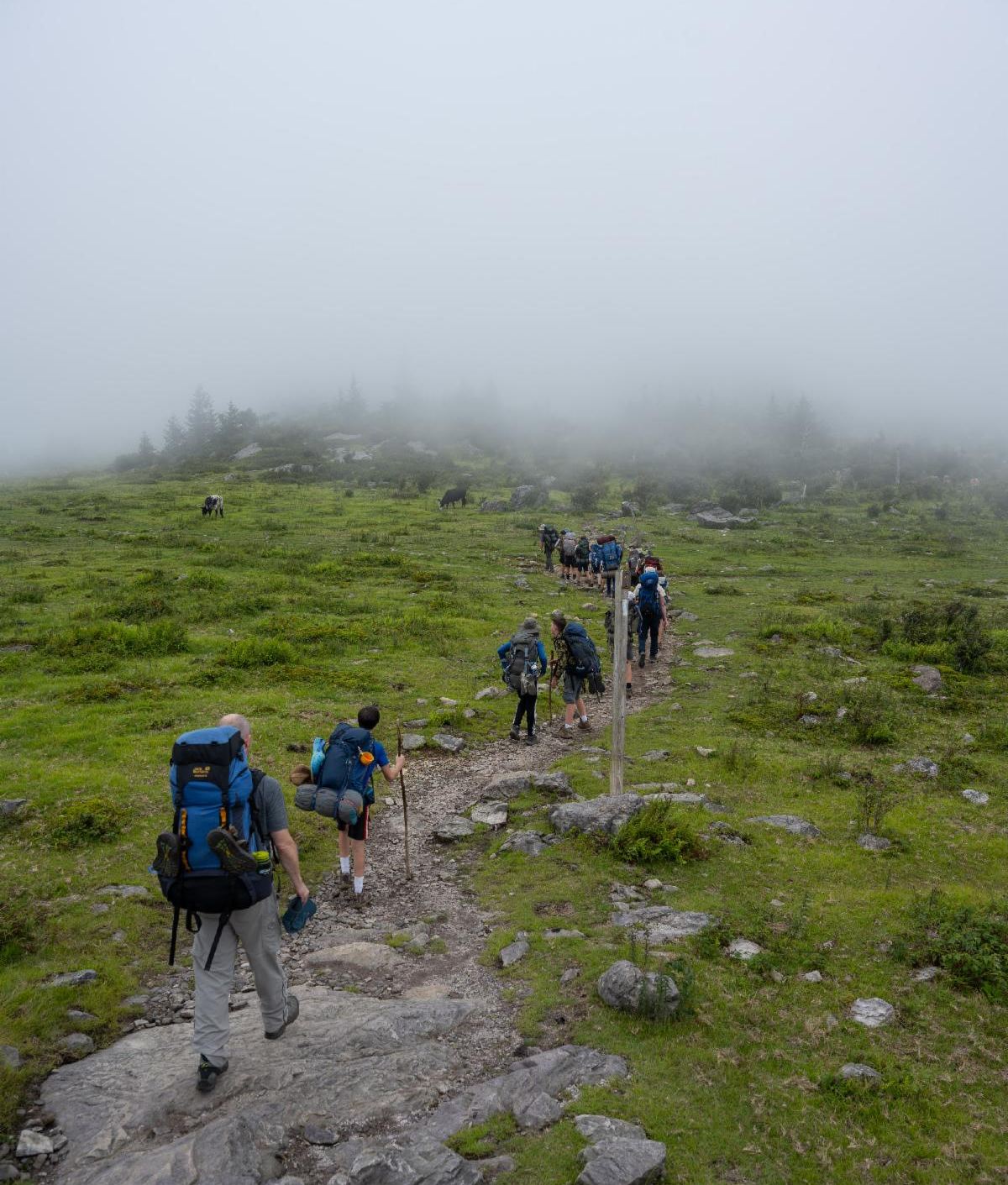 Backpackers hike into the mist.